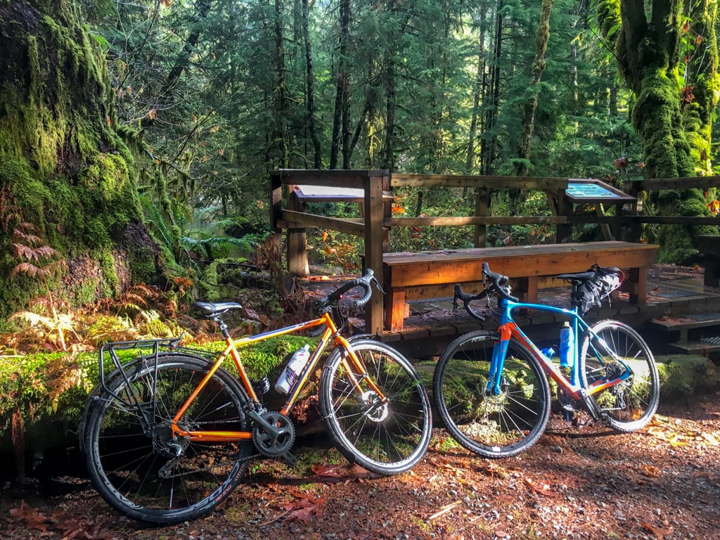 Biking in the Lower Seymour Conservation Reserve in North Vancouver, BC. One of the cycling activities highlighted in the book Active Vancouver by Roy Jantzen.