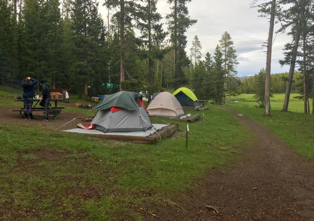 Three tents in Norris Campground in Yosemite National Park on a rainy day. A waterproof tent is on my Yellowstone packing list.