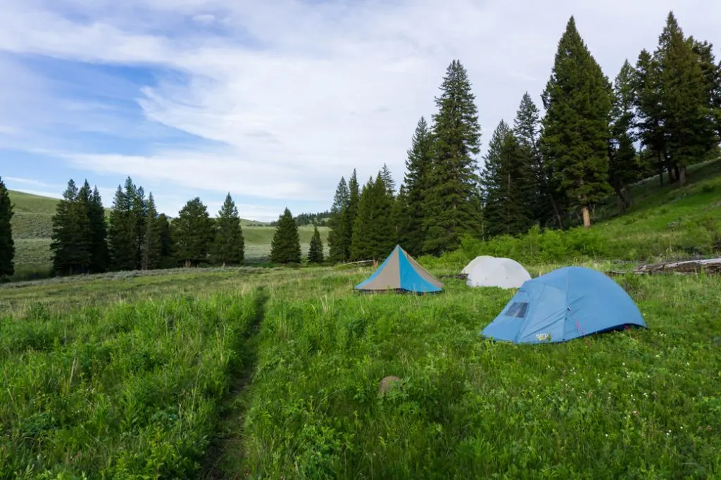 Backcountry campsite at Blacktail Creek in Yellowstone National Park