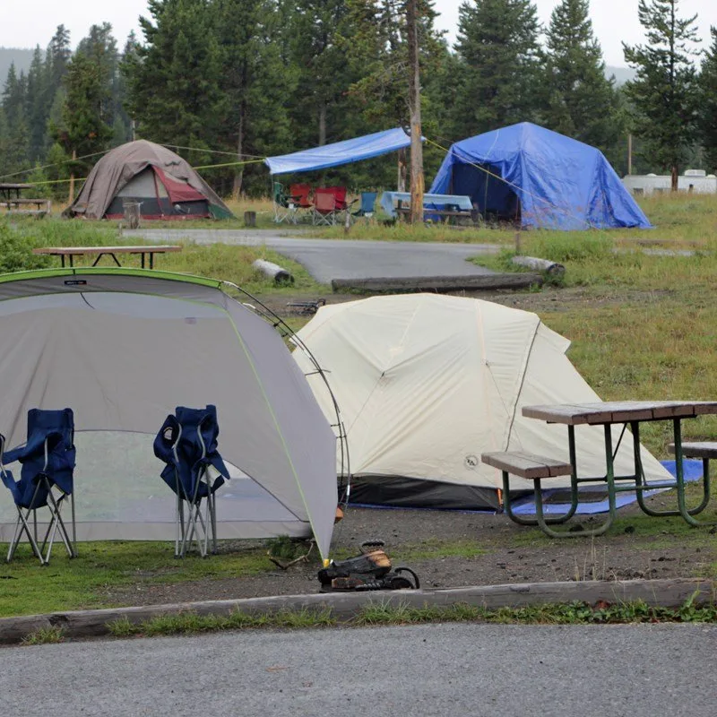 Tents at Bridge Bay campground in Yellowstone National Park