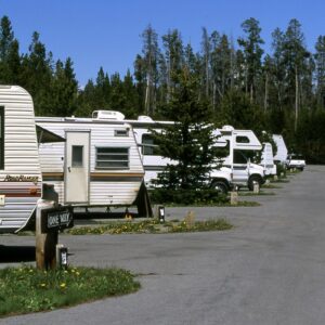 RVs in Fishing Bridge RV Park in Yellowstone National Park