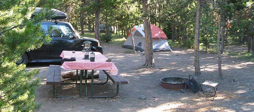Kampeerplaats op Indian Creek Campground in Yellowstone National Park