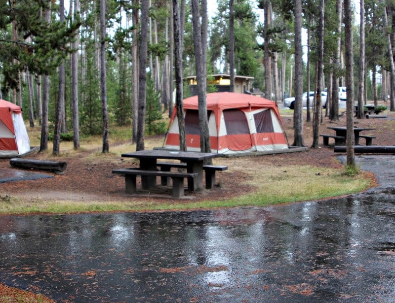 Camping na Madison Campground w Parku Narodowym Yellowstone