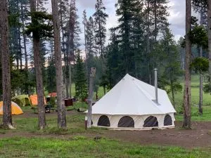 Tents at the Norris Campground in Yellowstone National Park