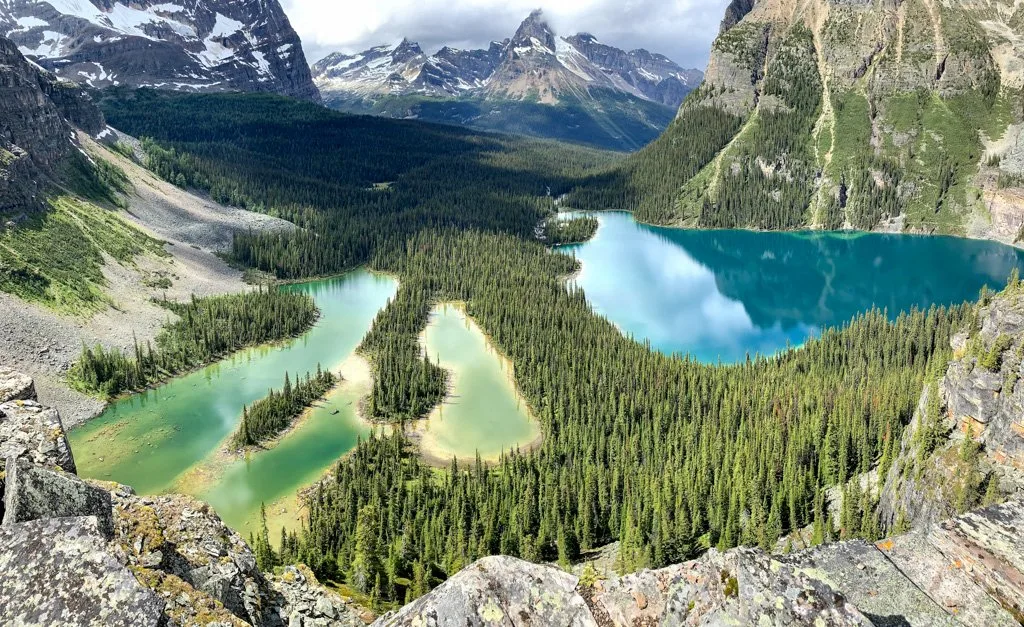 2024 Lake O'Hara Camping and Hiking Guide (Yoho National Park)