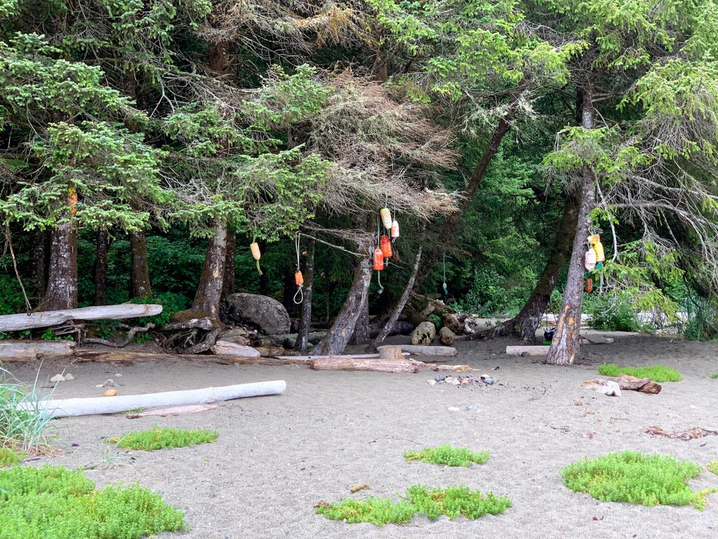 Campsites at Bonilla Point on the West Coast Trail
