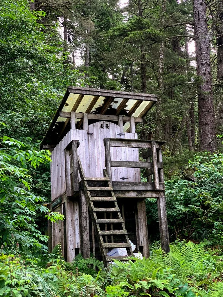 A composting toilet on the West Coast Trail with a ladder to reach the outhouse.