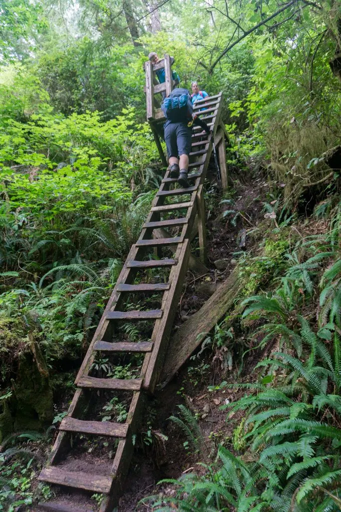 Hikers climbing a ladder on the northern-most part of the West Coast Trail