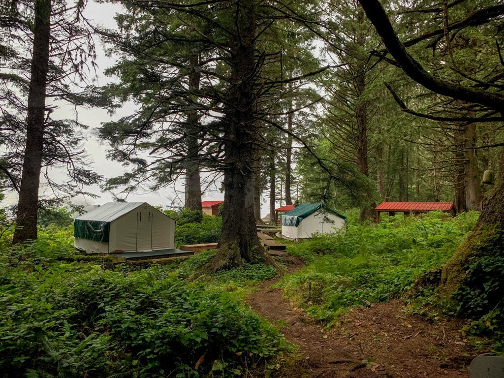 Ditidaht Nation comfort camping wall tents and cabins at Tsuquadra Point on the West Coast Trail