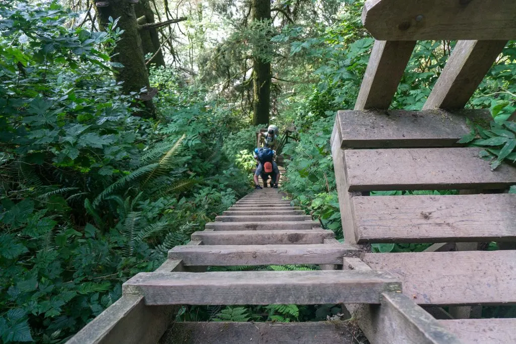 A backpacker climbs a ladder on the West Coast Trail
