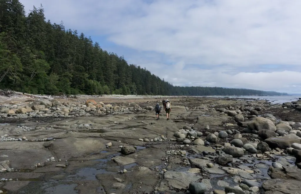 Hikers walking on the sandstone coastal shelf near Klanawa River on the West Coast Trail