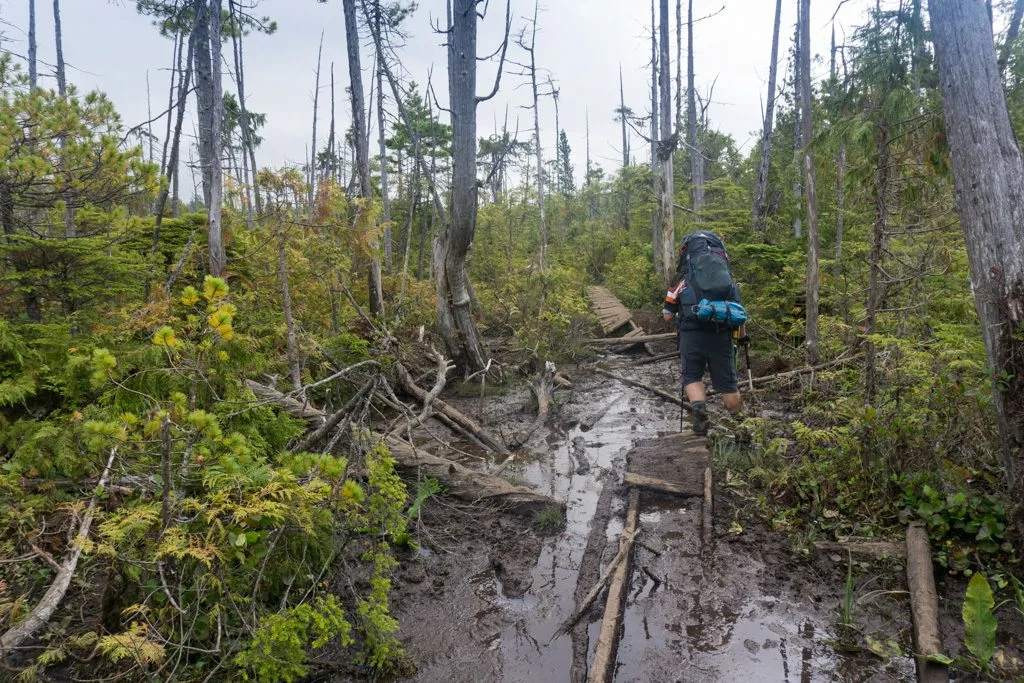 A hiker in a mud bog with ruined boardwalks. One of the most challenging West Coast Trail sections.