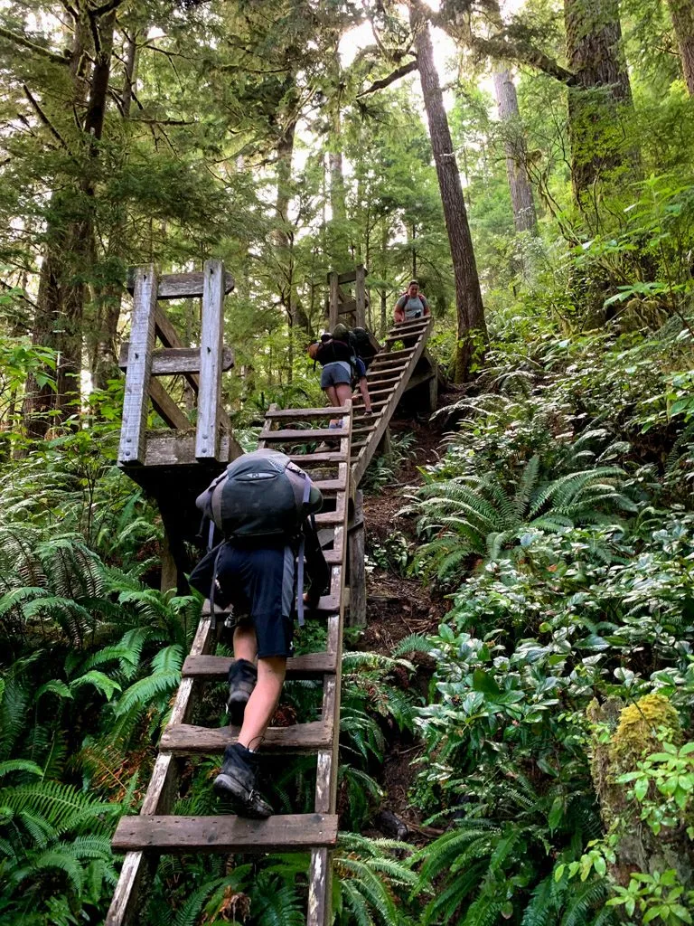 Hikers climbing ladders out of Camper Bay on the West Coast Trail