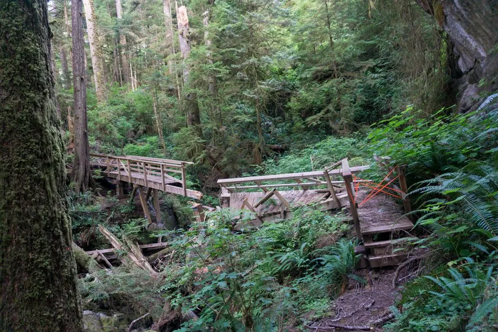 A wrecked bridge on the southern-most West Coast Trail section