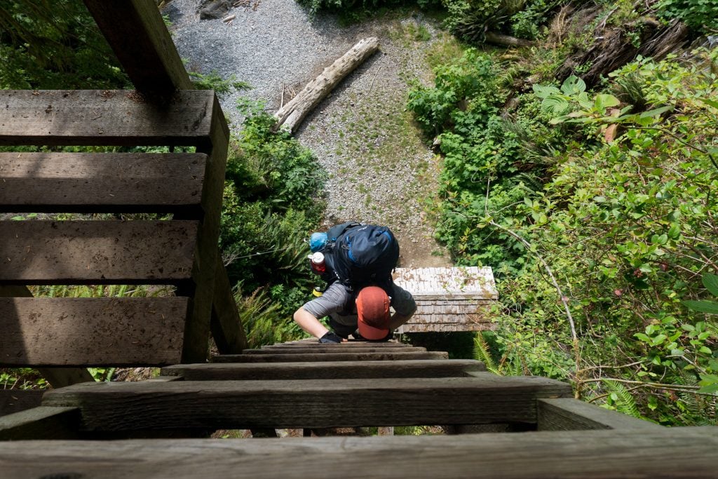 The final steep ladder at Gordon River on the West Coast Trail