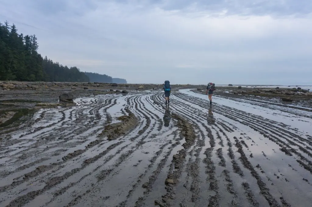 Hikers walking on the coastal shelf on the West Coast Trail