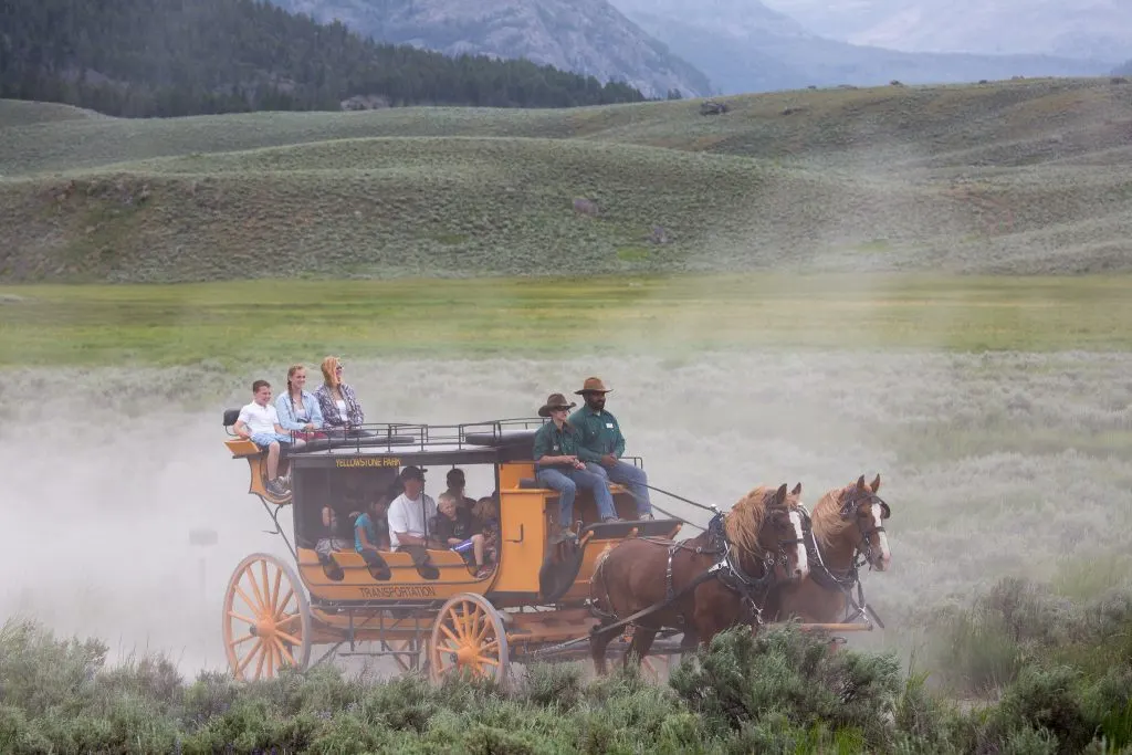Stagecoach ride at Yellowstone