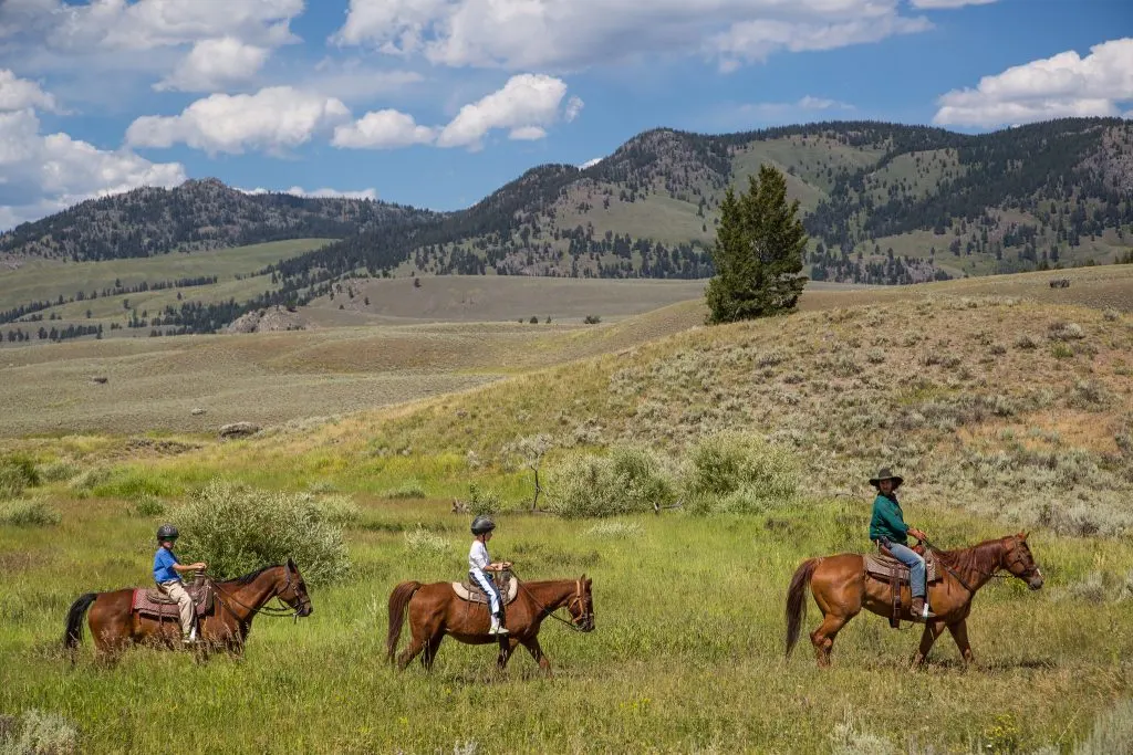 Horseback riding in Yellowstone
