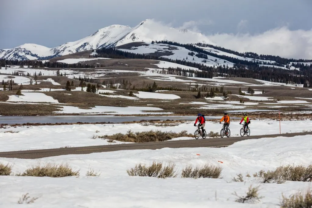 Spring biking in Yellowstone