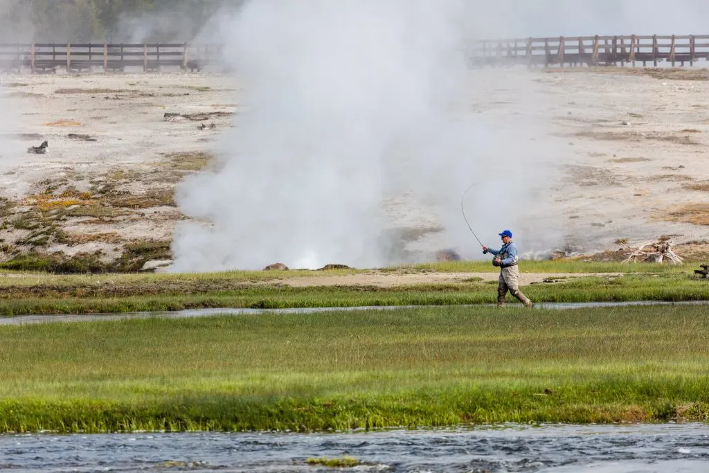 Fly fishing in Yellowstone