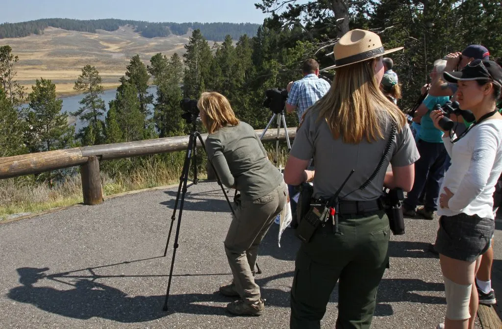 Tourists looking through binoculars at Hayden Valley in Yellowstone