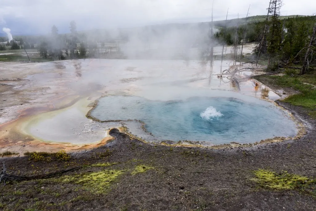 Hot spring on the Firehole Lake Drive in Yellowstone