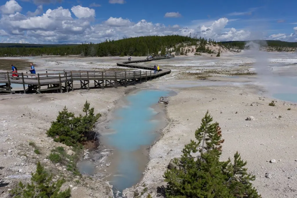 Norris Basin hydrothermal area in Yellowstone National Park