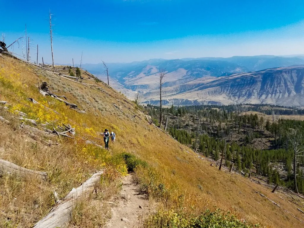 Sepulcher Mountain trail in Yellowtone National Park