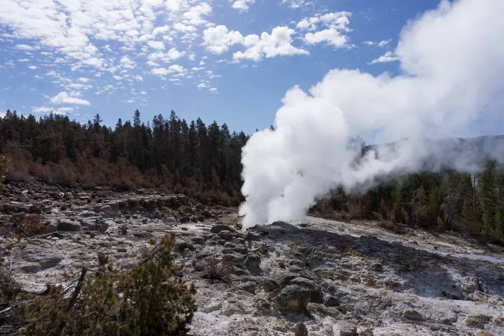 Steamboat Geyser in Norris Basin