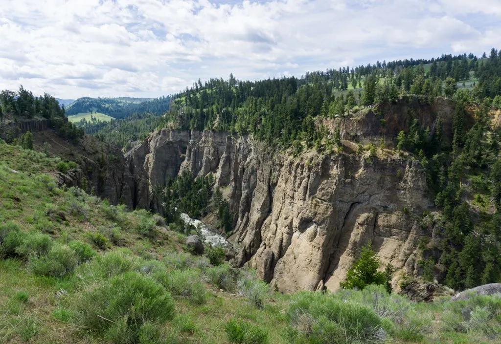 Yellowstone River Picnic Area Trail in Yellowstone National Park