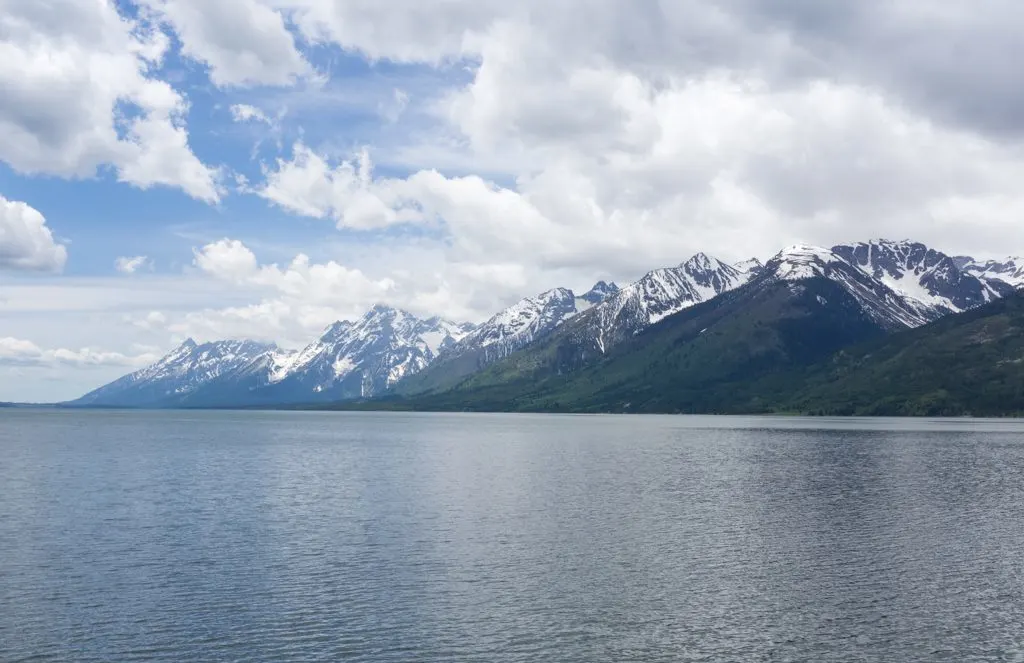 The view from the Jackson Lake Overlook