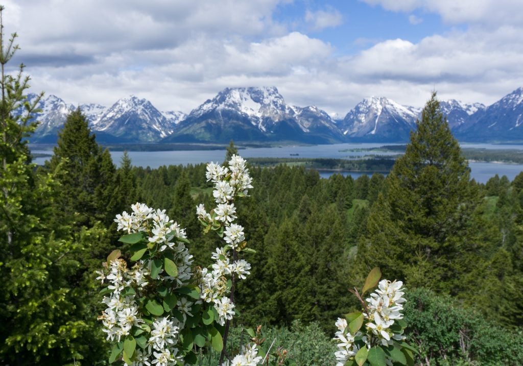 The view from the top of Signal Mountain in Grand Teton National Park