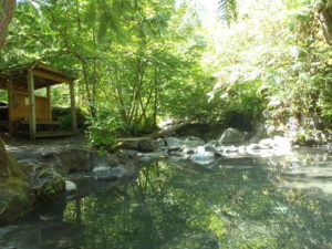 Sloquet Hot Springs near Pemberton, BC. One of the best hot springs in Canada