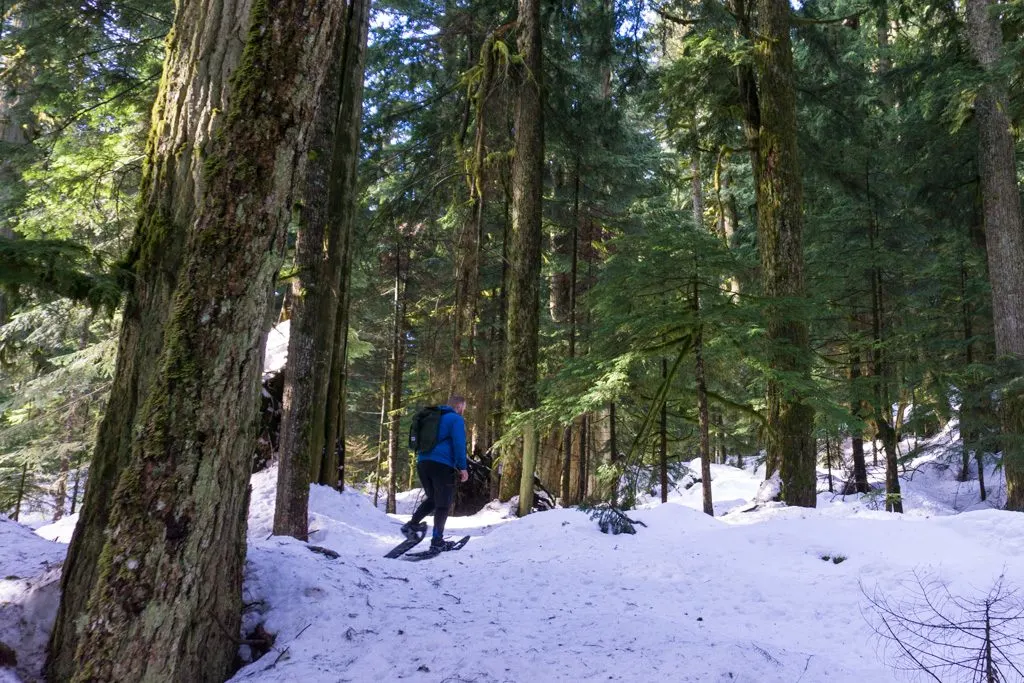 What to Wear Winter Hiking and Snowshoeing