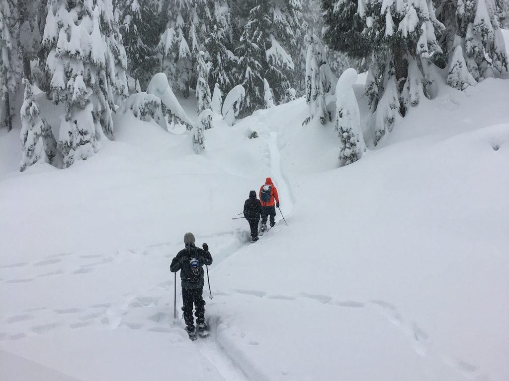 Three snowshoers on a snowy trail while snow falls