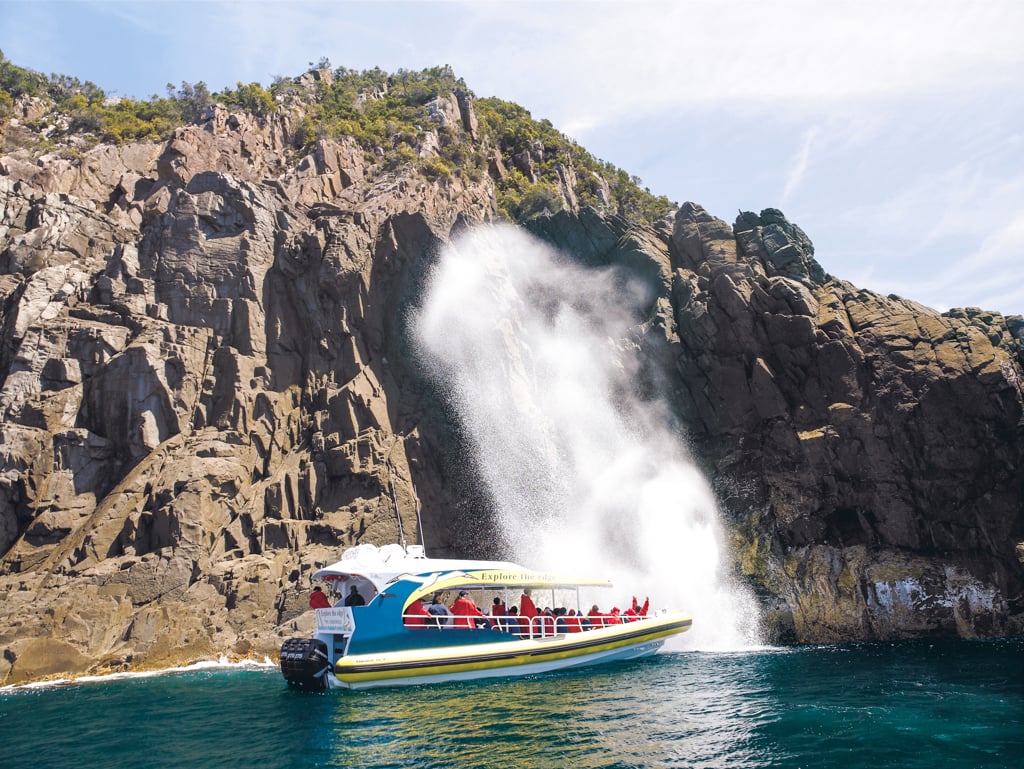 A tour boat with Bruny Island Cruises