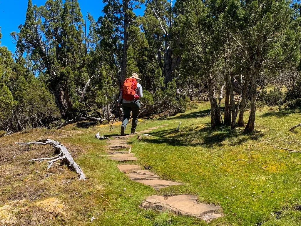 Stone track in Walls of Jerusalem National Park