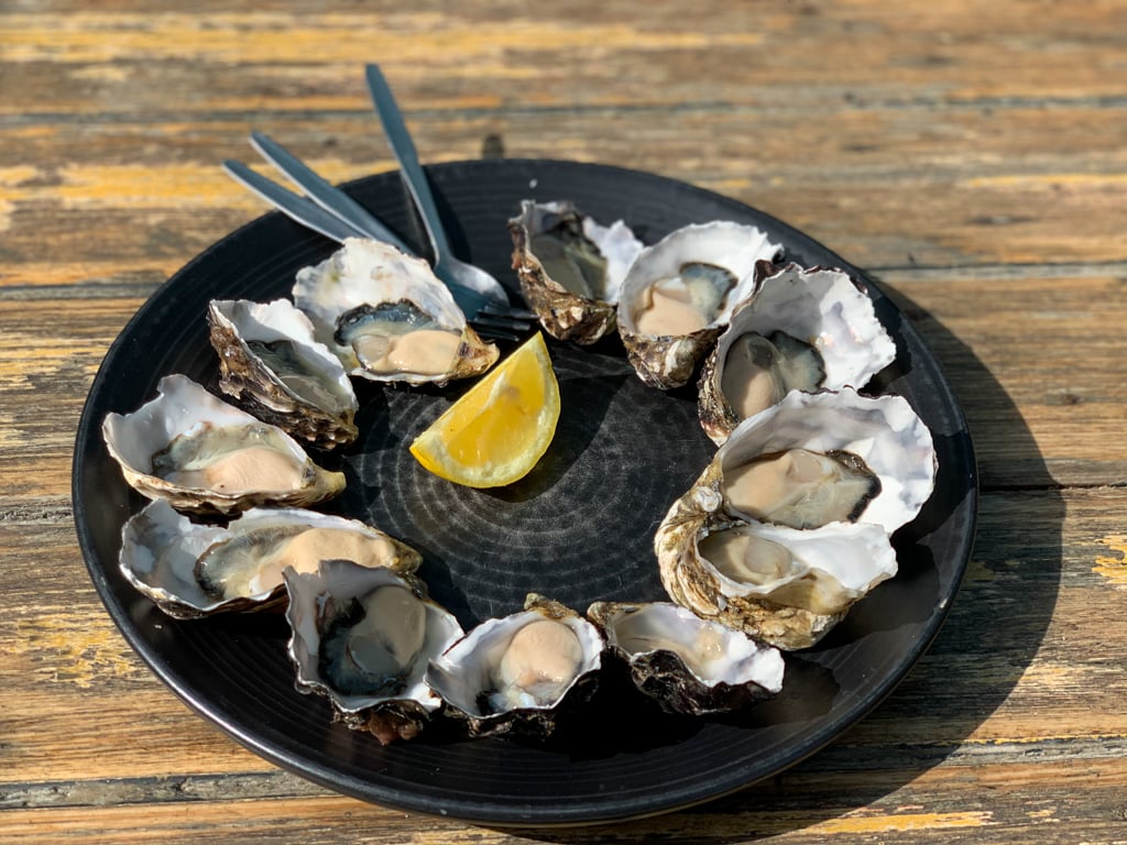 A dozen oysters on a platter at Get Shucked on Bruny Island Tasmania