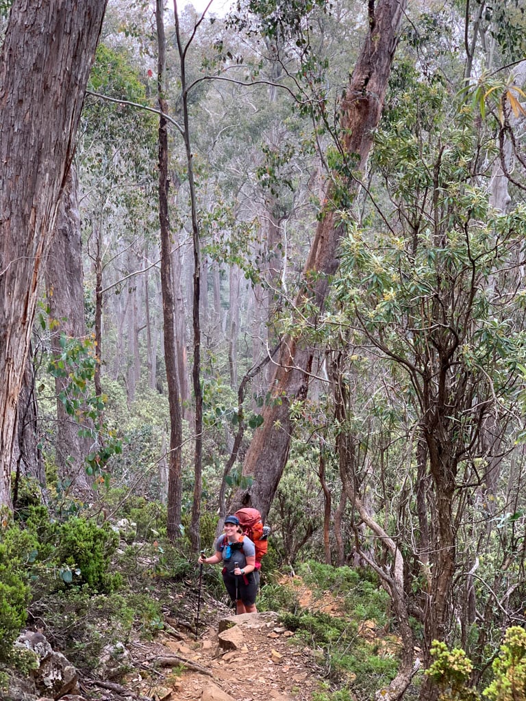 A hiker wearing a backpack stands on the steep trail leading up to Trappers Hut in Walls of Jerusalem National Park, Tasmania, Australia