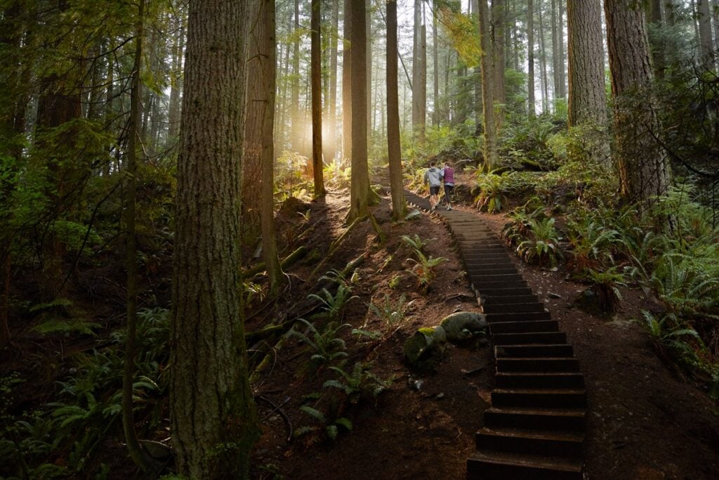 Hikers on The Grouse Grind in Vancouver