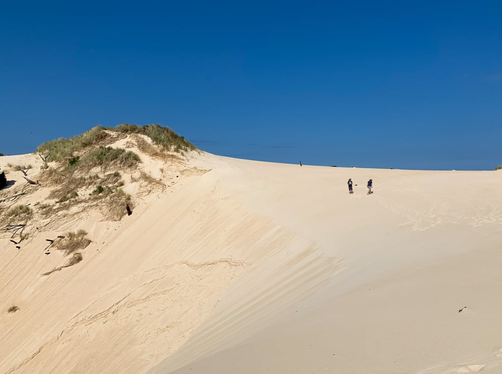 People standing on a dune at Henty Dunes
