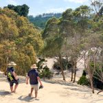People walking down a dune into the forest at Henty Dunes near Strahan on Tasmania's West Coast