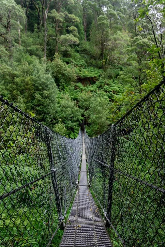 The suspension bridge at Montezuma Falls in Roseberry, Tasmania