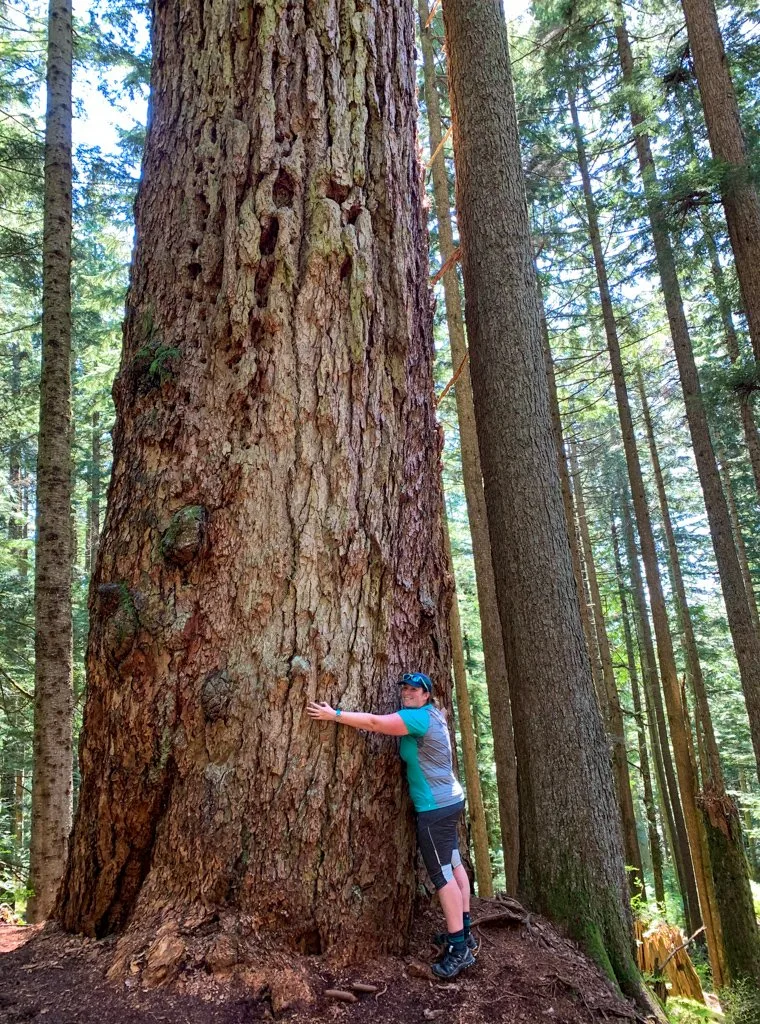 A plus sized female hiker hugs a very large tree. She's wearing a Smartwool shirt - one of our recommendations for the best women's plus size hiking clothes
