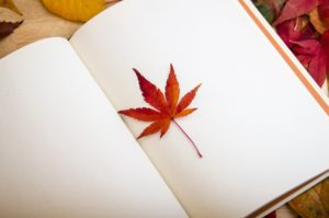 A maple leaf on the pages of a book. The best Canadian adventure books.