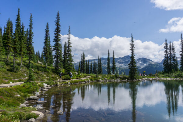 The Best Hikes in Whistler: A Guide to All the Trails
