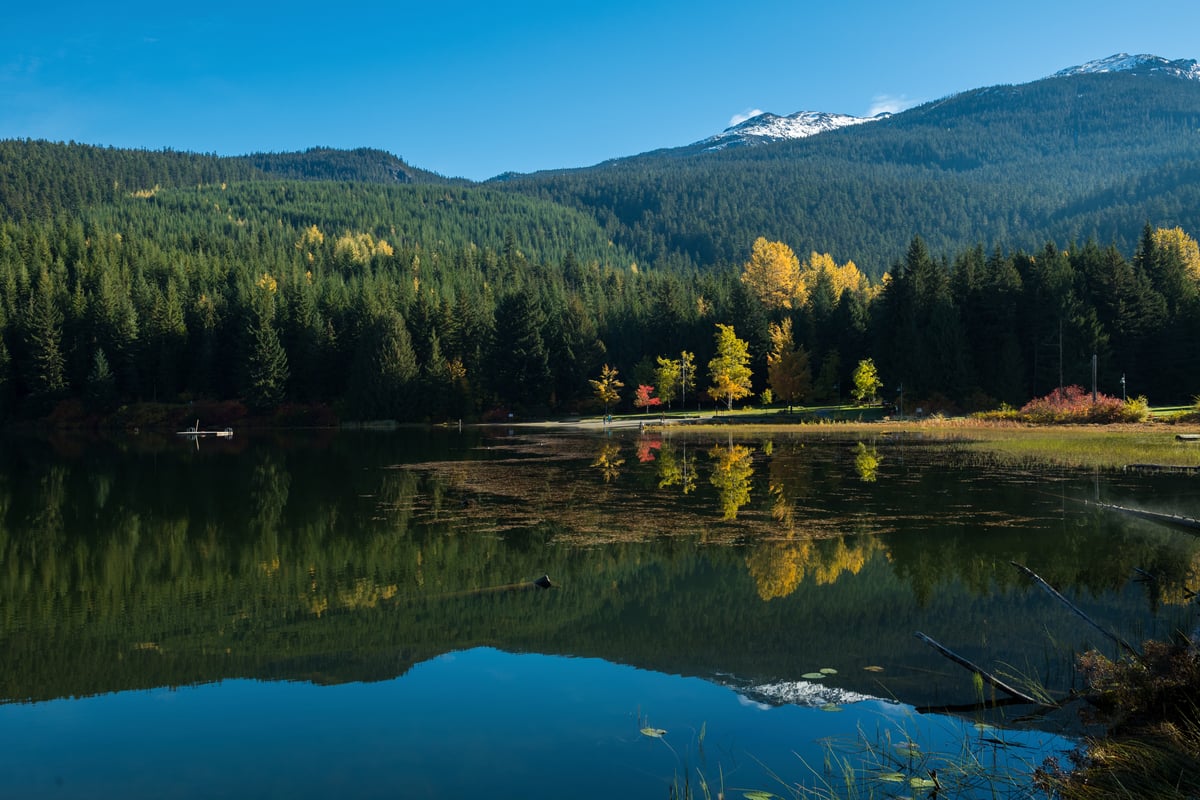 The Best Hikes in Whistler: A Guide to All the Trails | Happiest Outdoors