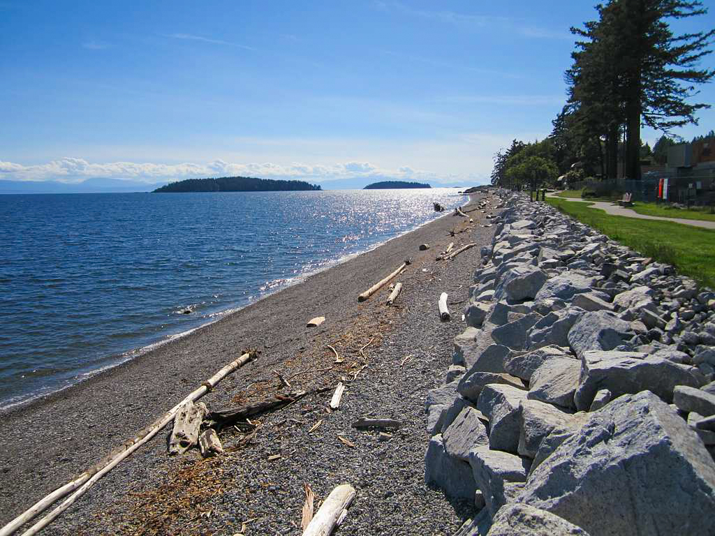 Beach in Sechelt