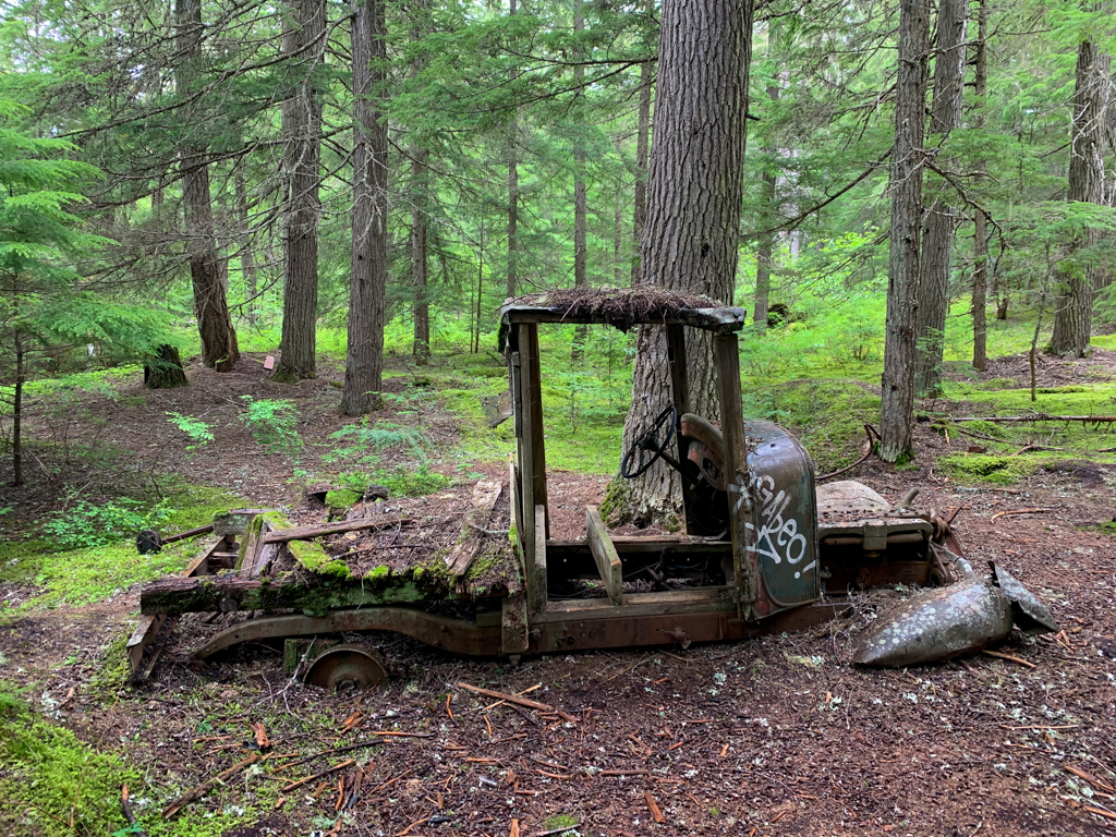 Old truck sinking into the forest floor at Parkhurst Ghost Town