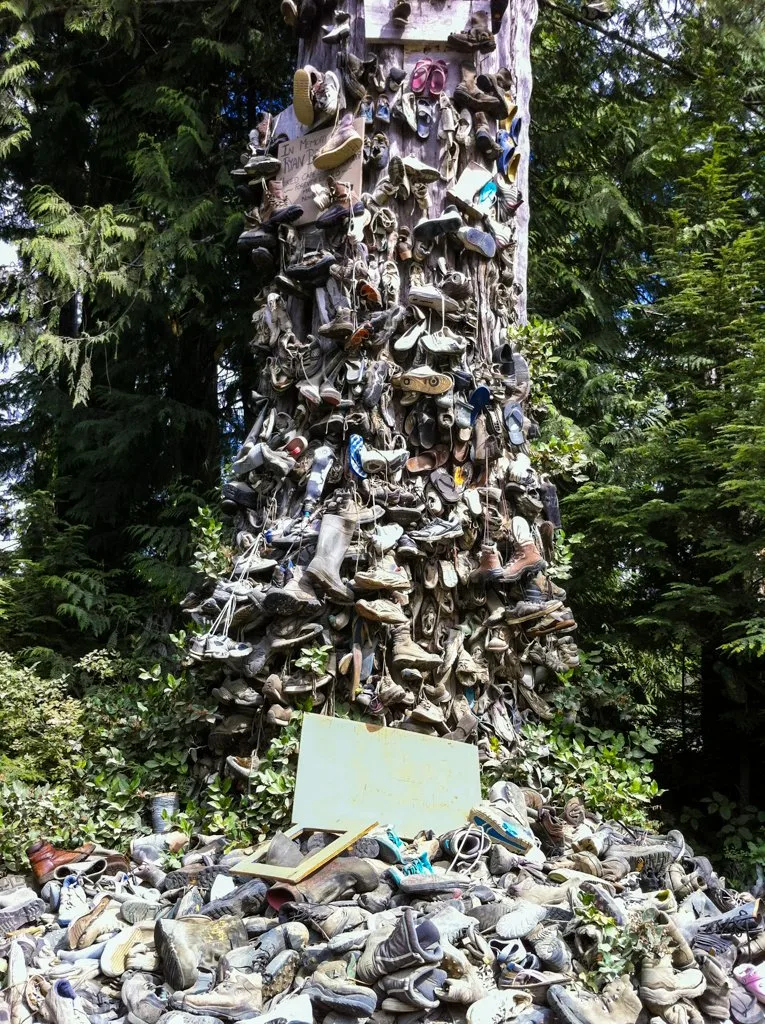 The famous shoe tree on the road between Port Hardy and Holberg on Northern Vancouver Island